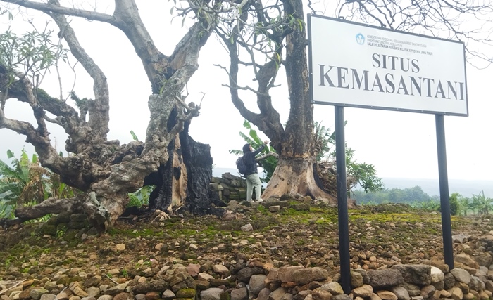 INVENTARISASI: Situs Kemasantani merupakan salah satu cagar budaya di Dusun Ketanen, Desa Kemasantani, Kecamatan Gondang, Kabupaten Mojokerto. (foto Moch. Khasib for Radar Majapahit)