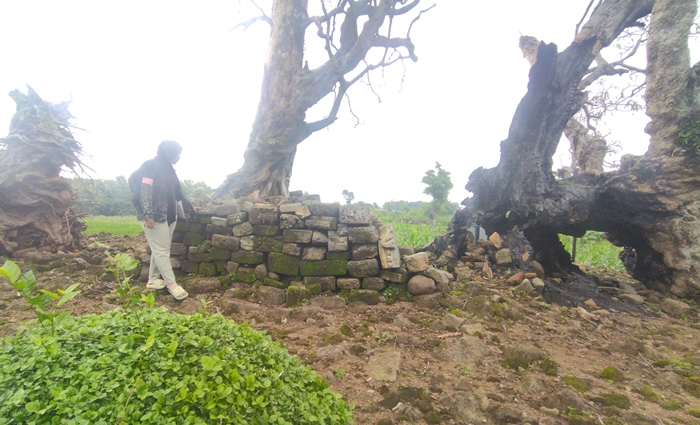 BERSEJARAH: Situs Kemasantani/Balekambang di Desa Kemasantani, Kecamatan Gondang, disinyalir merupakan runtuhan candi peninggalan era Hindu-Buddha. (foto: M. Khasib for Radar Majapahit)