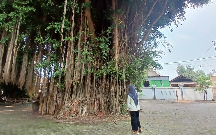BERMAKNA: Pengunjung mengamati sekitar di kompleks Makam Troloyo, Dusun Sidodadi, Desa Sentonorejo, Kecamatan Trowulan, Kabupaten Mojokerto. (foto: Nur Zurotus Sita for Radar Majapahit)