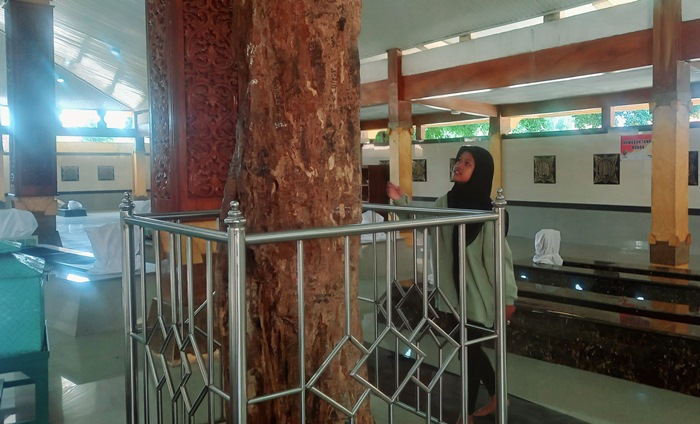 DIPELIHARA: Pengunjung sedang mengamati pohon pule di Makam Troloyo, Dusun Sidodadi, Desa Sentonorejo, Kecamatan Trowulan, Kabupaten Mojokerto. (foto Annisa Fadilah for Radar Majapahit)