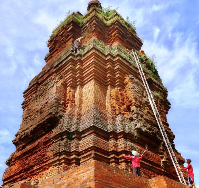 PEMBERSIHAN: Tim juru pelihara memanjat bagian atap Situs Candi Brahu, Desa Bejijong, Kecamatan Trowukan, untuk membersihkan rumput dan lumut yang tumbuh menjalar.