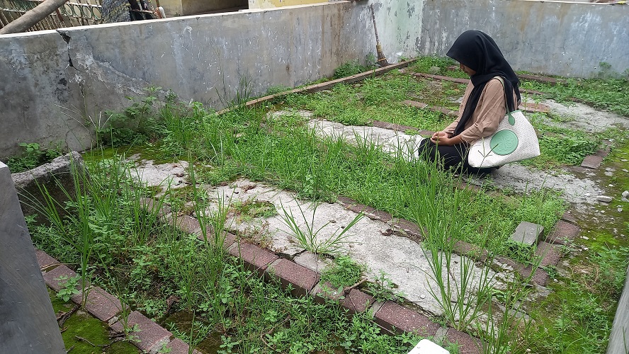 TAK TERURUS: Pengunjung mencermat empat makam penyiar Islam di Kompleks Pemakaman Troloyo, Trowulan, Mojokerto. (foto: Annisa Fadilah for Radar Majapahit)