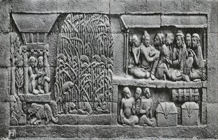 DATA ARKEOLOGIS: Aktivitas bertani dan panen hasil bumi termasuk padi tergambarkan di relief Candi Borobudur. (foto: dok. Kemendikbud)