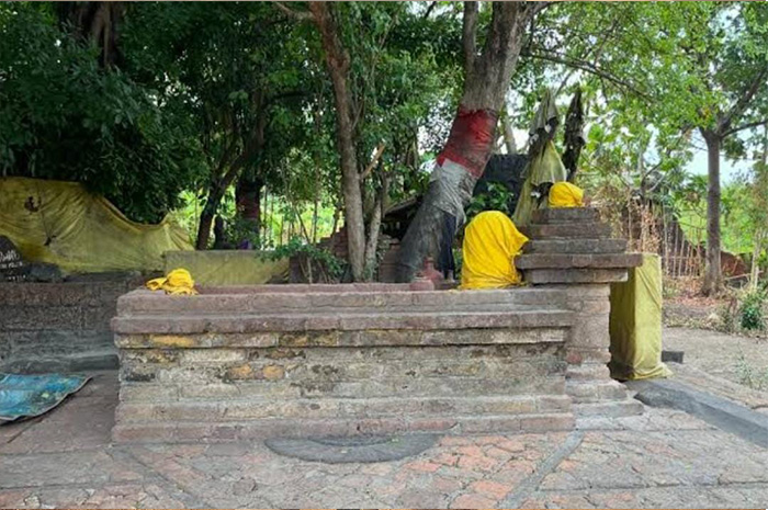 jejak Ki Ageng Saloko Gading perlahan mengisi ruang kosong dalam narasi besar sejarah Nusantara. sumber foto: google