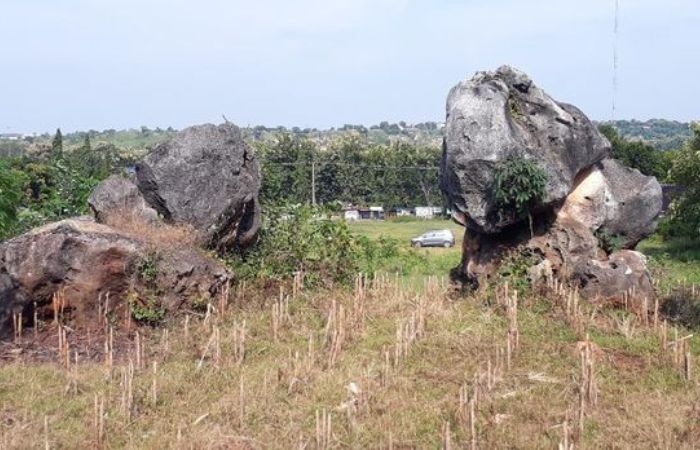 Situs Watu Gajah, batu-batu besar di sekitar lokasi dipercaya sebagai bentuk badan dari pasukan gajah yang dikutuk oleh Sunan Bejagung Lor setelah pertempuran terhadap pasukan Majapahit.