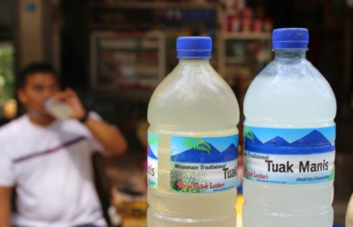 Jejak Budaya Minum Tuak di Nusantara Sejak Era Majapahit