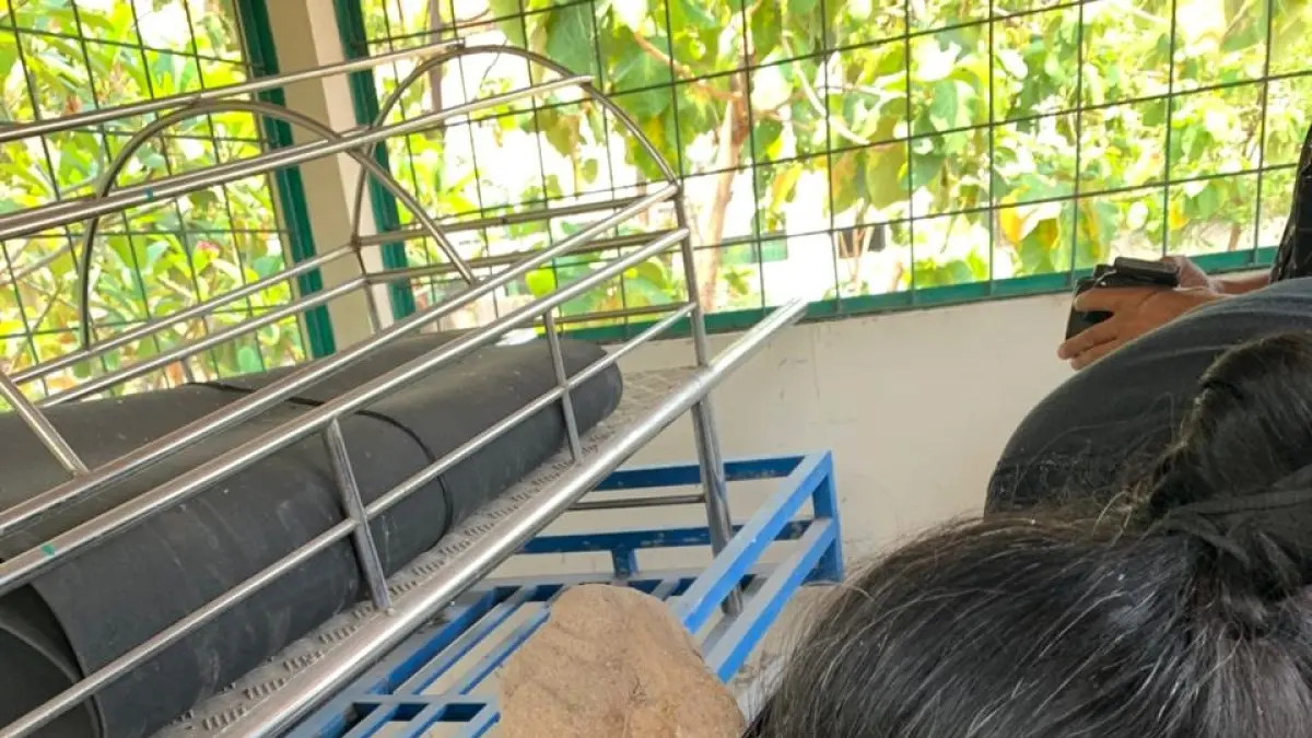 BENDA KUNO: Tim arkeolog saat mengobservasi arca dewa yang ditemukan di makam umum Desa Pesanggrahan, Kecamatan Kutorejo, Kabupaten Mojokerto. (foto: Martda Vadetya)