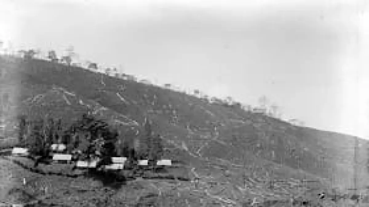 Pembukaan Lahan untuk Tanaman Kopi di Perkebunan Sumber tahun 1900-an (Sumber: https://collectie.wereldculturen.nl/?query=search=*=TM-10012154)