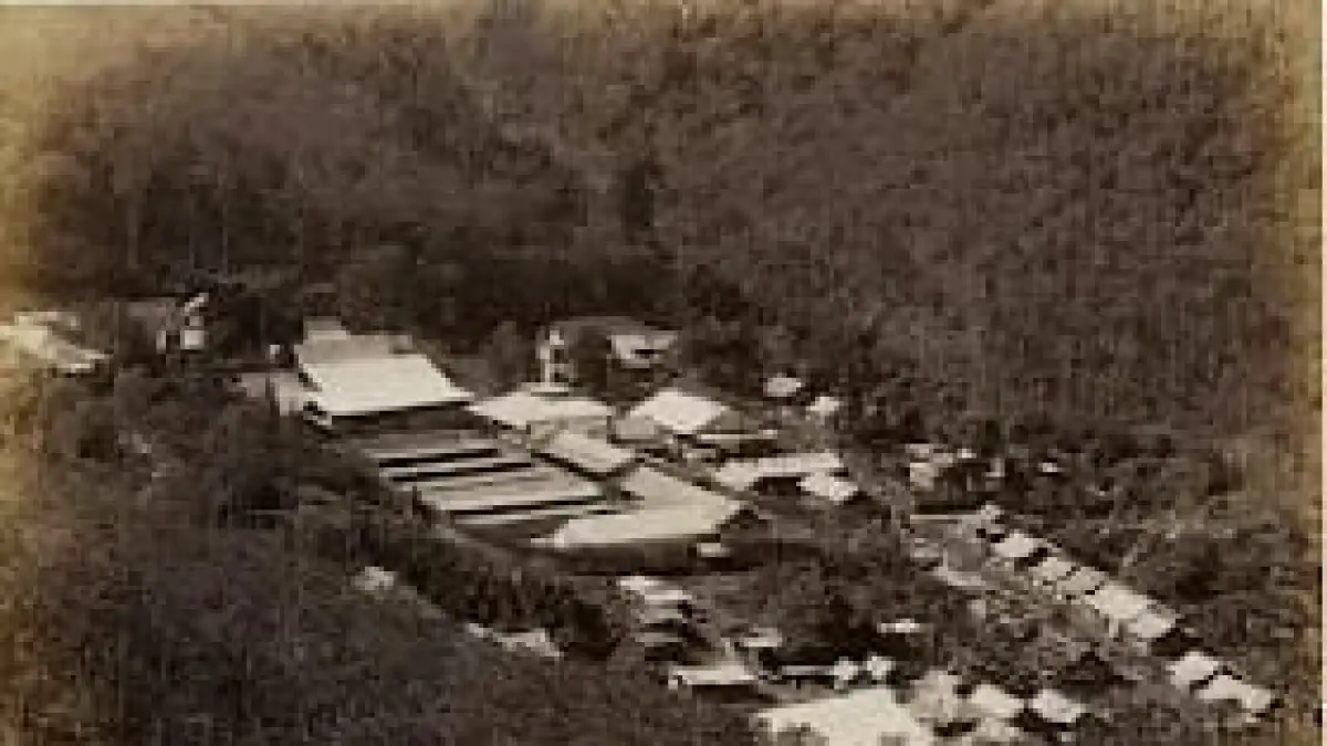 Petak Lahan Kopi di Pegunungan Anjasmoro Tahun 1890. (Sumber: https://digitalcollections.universiteitleiden.nl/view/item/790255)