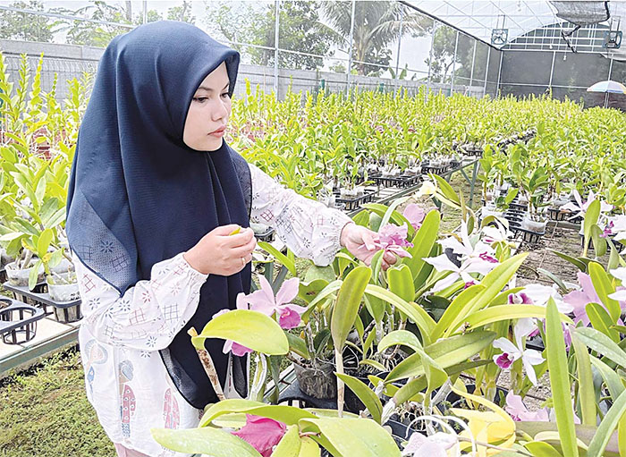DIMINATI: Riza Ilmiatus memeriksa deretan tanaman anggrek di green house milik Griya Anggrek Singosari yang banyak didatangi pengunjung.