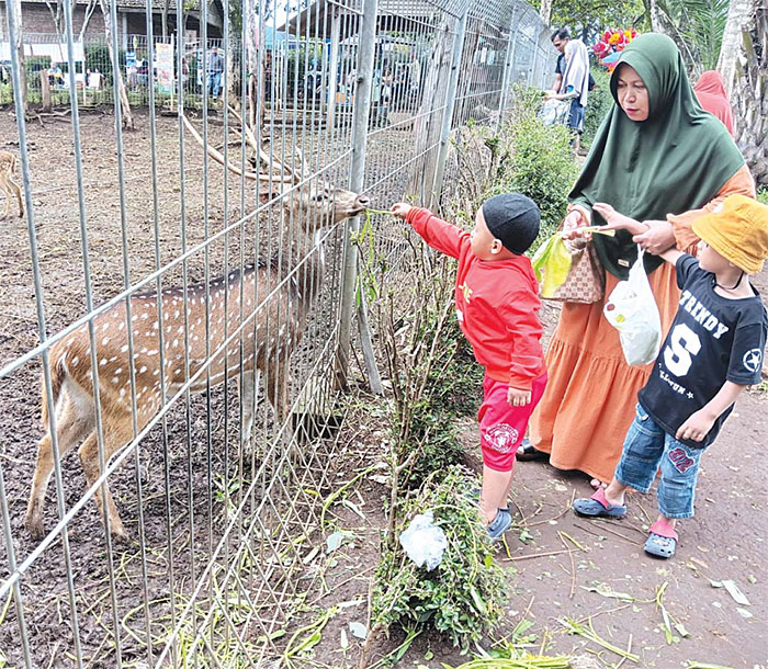 ASYIK JUGA: Pengunjung anak-anak memberi makan rusa di taman Alun-Alun KEK Singhasari, Kecamatan Singosari, kemarin.
