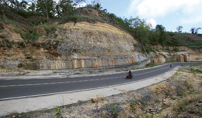MINIM SINYAL: Pengendara melintas di Jalur Lingkar Selatan (JLS) wilayah Kecamatan Donomulyo