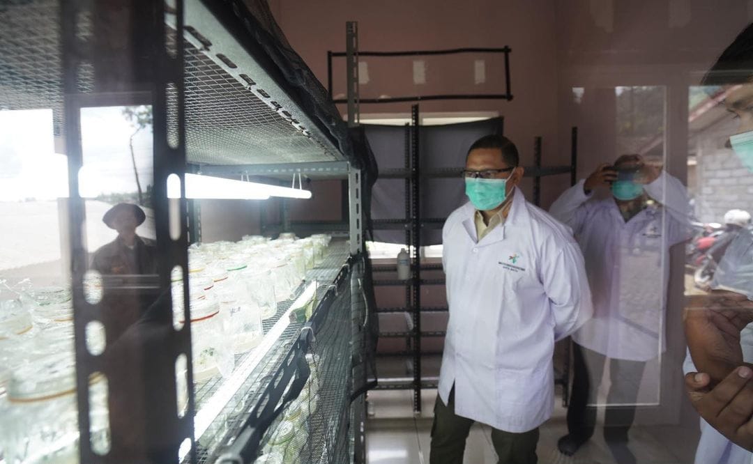 KREATIF: Pj Wali Kota Batu Aries Agung Paewai meninjau laboratorium kultur jaringan milik Gapoktan Sumberjaya Desa Sumberbrantas .