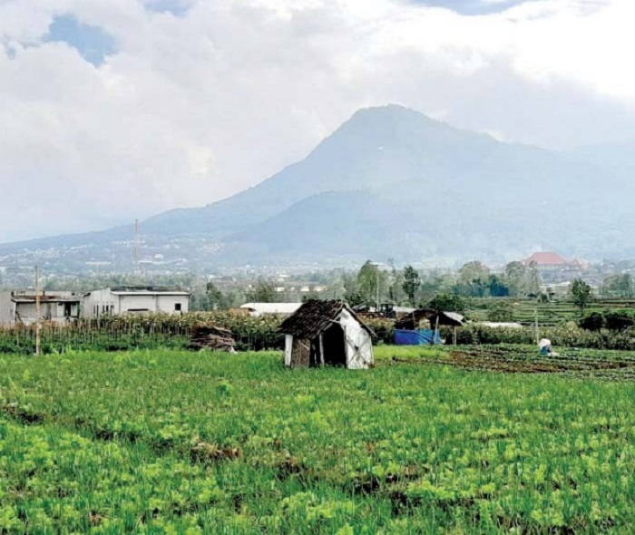 TERGERUS: Lahan hijau di Kota  Batu setiap tahun semakin  berkurang karena beralih fungsi  jadi bangunan.