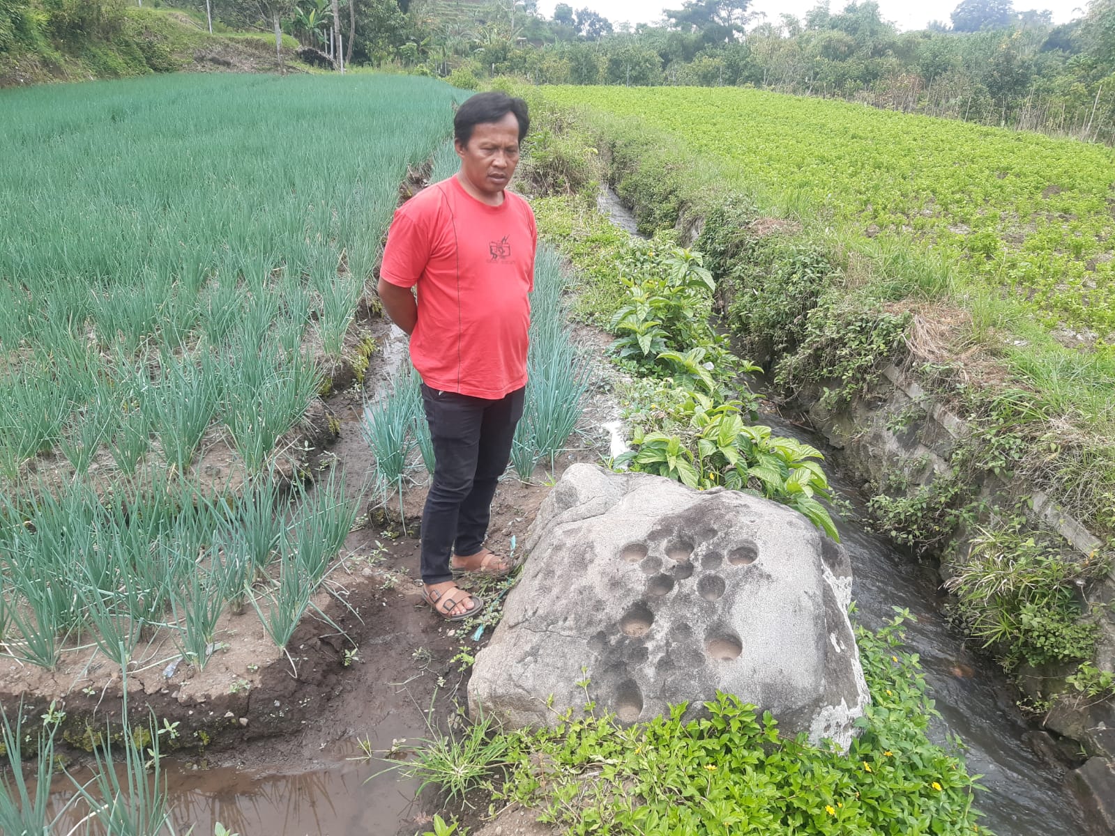 BENDA SEJARAH: Situs Watu Dakon di Desa Torongrejo, Kecamatan Junrejo, Kota Batu tidak ada yang merawat.