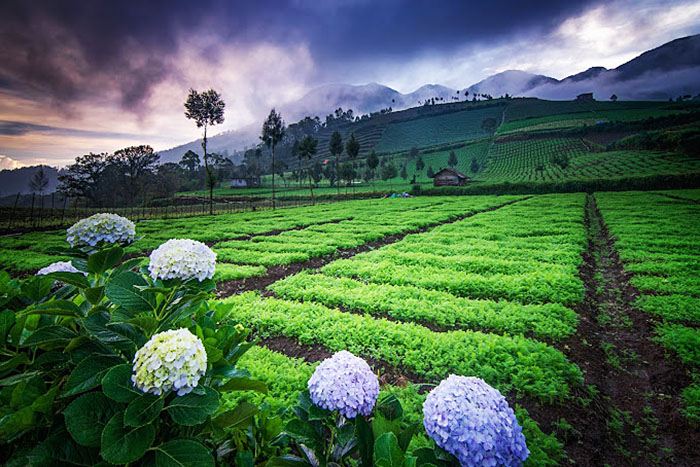 Wisata Brakseng Kota Batu