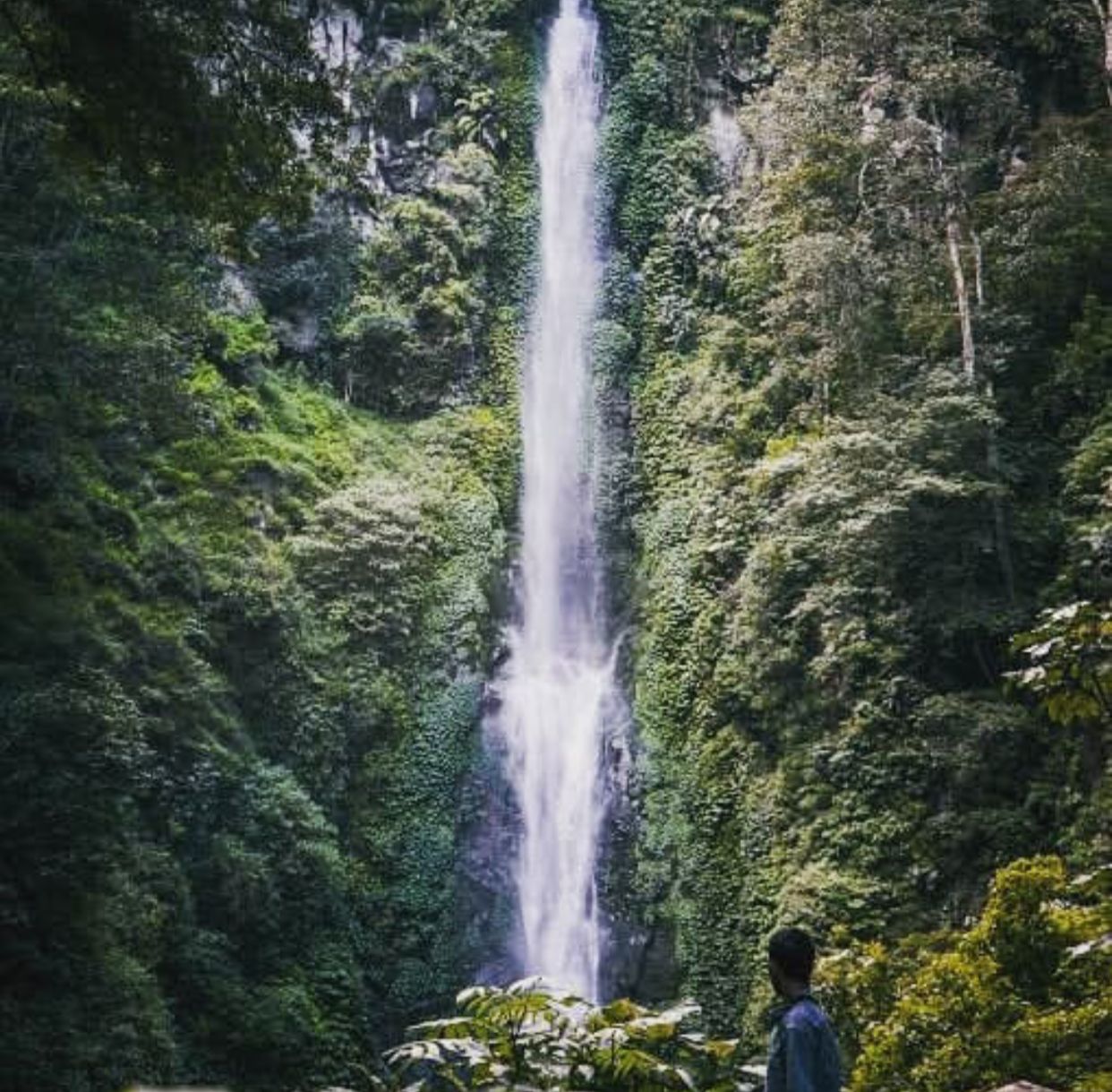 Coban Rais_