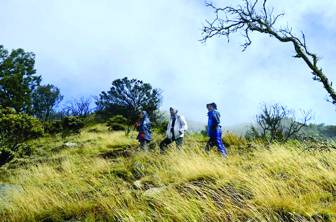 ANTUSIAS: Para pendaki tertantang untuk menaklukkan Gunung Arjuno maupun Welirang.