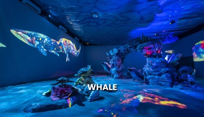 Zona whale Milenial Glow Garden