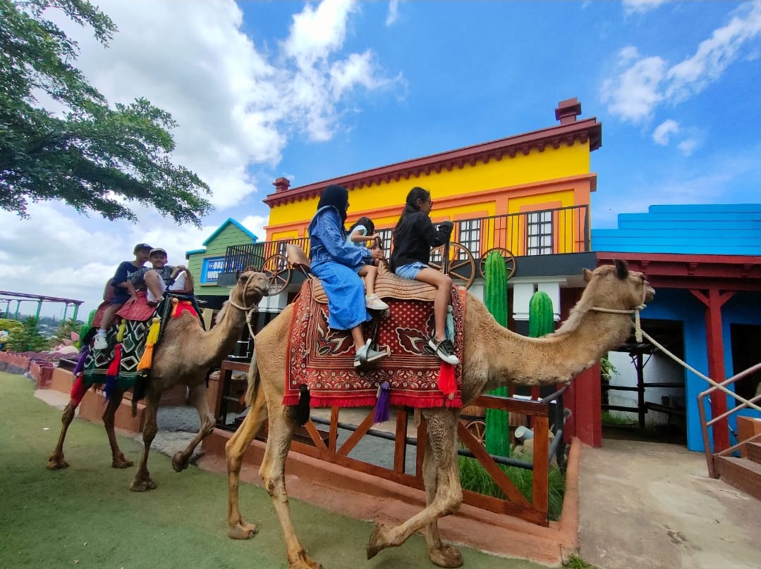 JARANG ADA: Wisata naik unta di Batu Love Garden sangat diminati pengunjung karena hal semacam ini jarang ada di Indonesia.