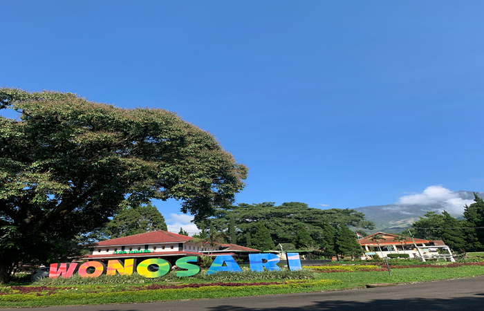 Kebun Teh Wonosari yang merupakan salah satu objek wisata di Desa Toyomarto Kabupaten Malang.