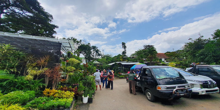 Pasar Bunga Splendid Malang.