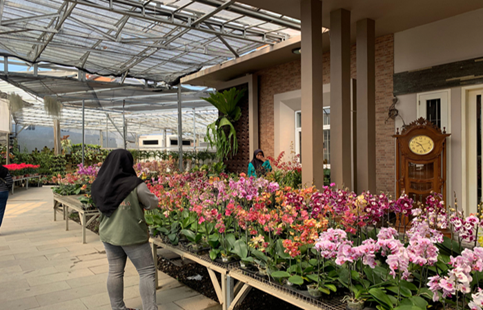 Mitra Flora Nusantara Batu.