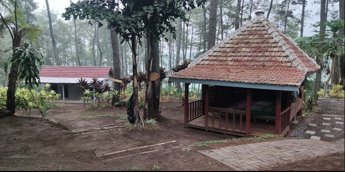 Benjor Pine Camp Ground.