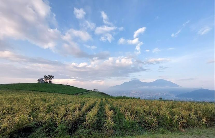 Pemandangan di Bukit Jengkoang Batu.