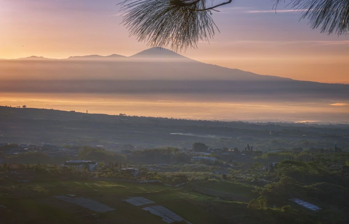 Pemandangan dari Puncak Bukit Kaliandra.