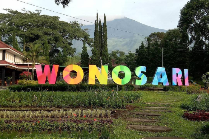 Potret pemandangan Kebun Teh Wonosari. (Ahmad Prawoto for Radar Malang)