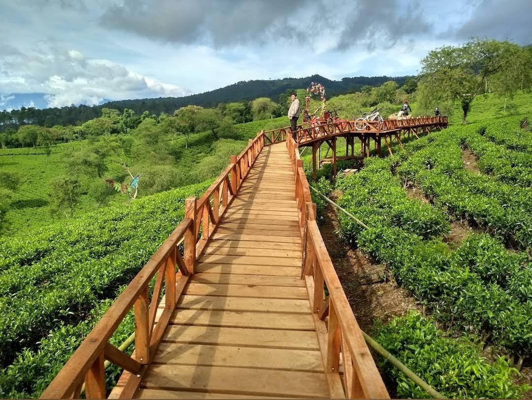 Keindahan alam yang disuguhkan di atas puncak Bukit Kuneer.