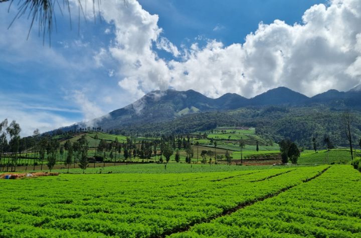 Pemandangan Indah di Bukit Kota Batu.