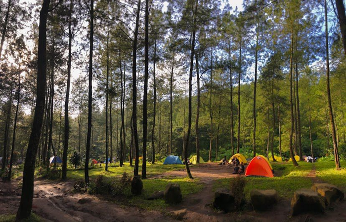 Bumi Perkemahan Bedengan.