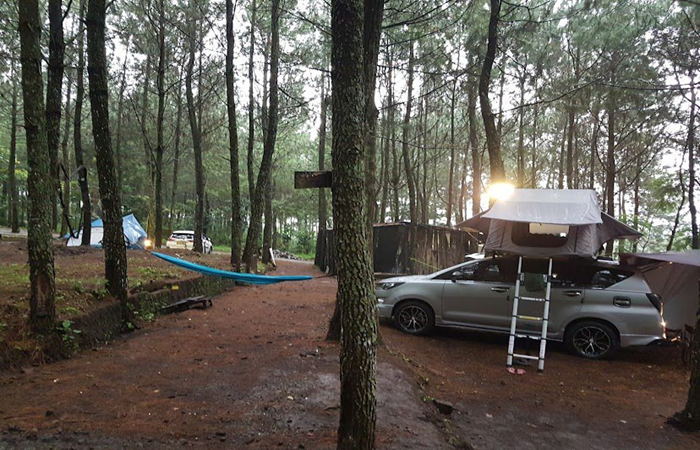 Taman Pinus Campervan.