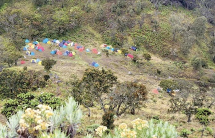 BANYAK TENDA: Para pendaki camping di Gunung Arjuno beberapa waktu lalu.