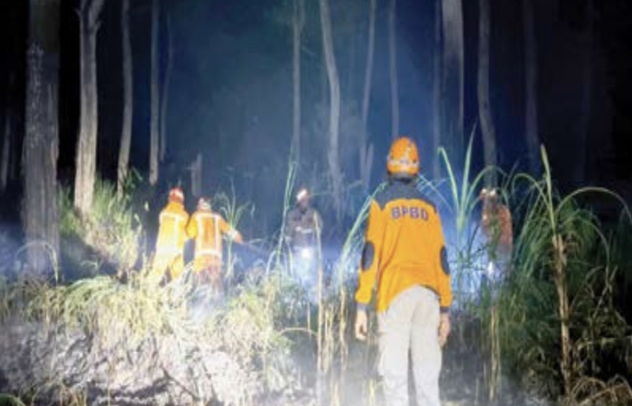 BERASAP: Petugas gabungan berupaya memadamkan api di Ka&shy; wasan Hutan Lindung, Gunung Panderman Rabu petang lalu (6/11).
