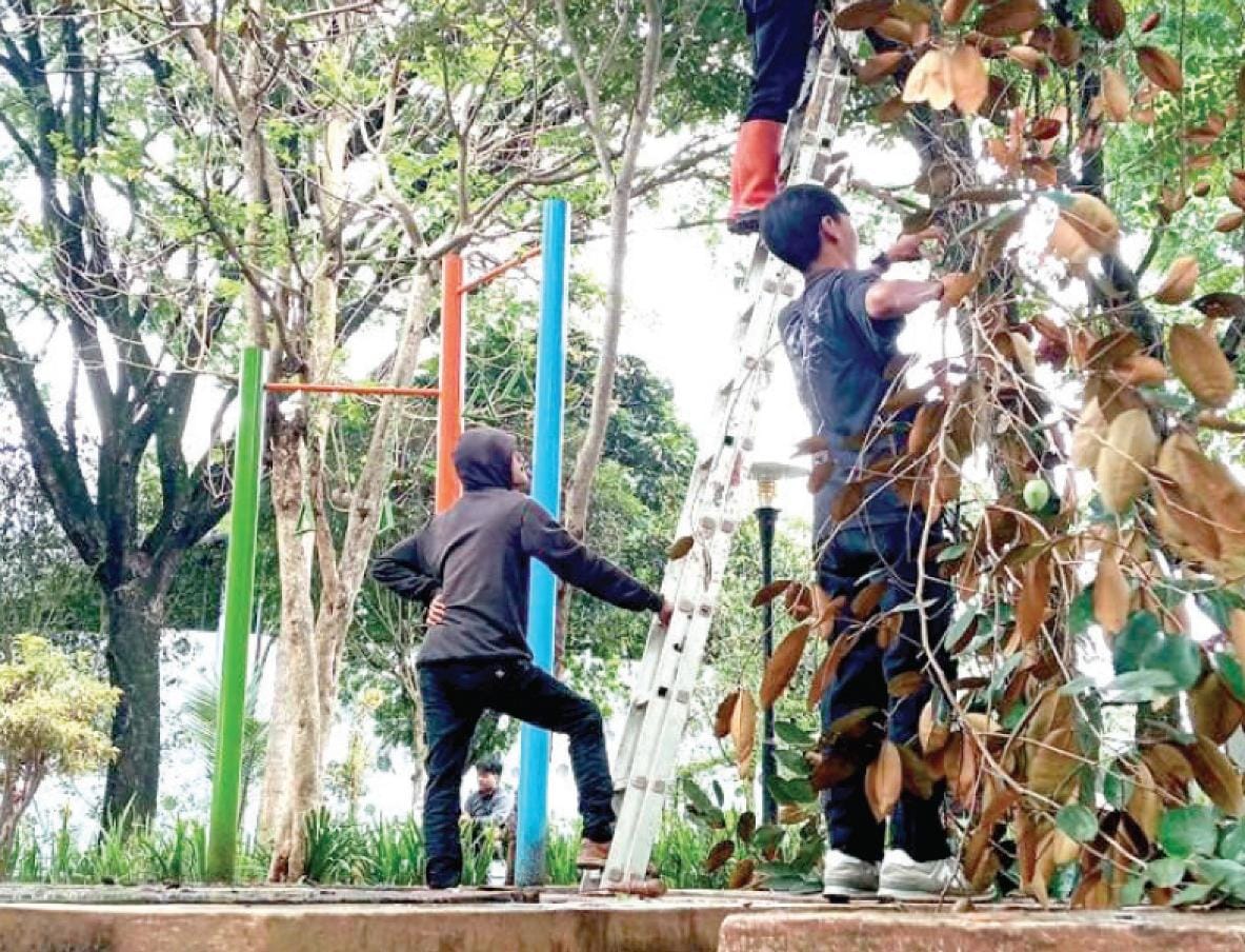 UPAYA MITIGASI: DLH Kota Batu melakukan perempesan pohon di Taman Hutan Kota, Kelurahan Sisir, Kecamatan Batu, Kota Batu beberapa waktu lalu.