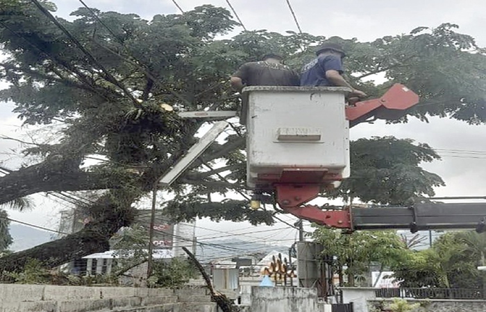 UPAYA MITIGASI: Salah satu pohon di ruas Jalan Ahmad Yani dilakukan pemangkasan beberapa waktu lalu.