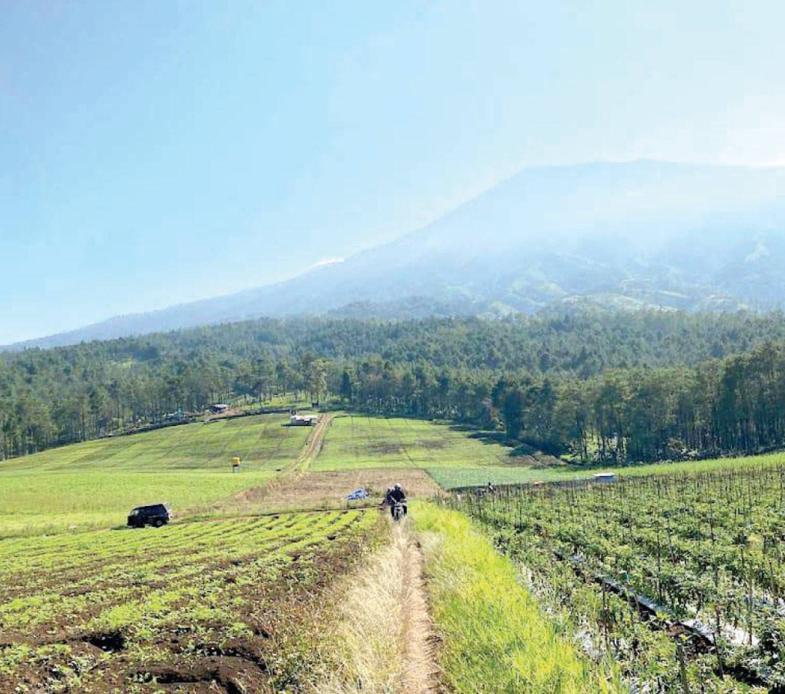 MASIH AKTIF: Pemandangan Gunung Arjuno saat dilihat dari Desa Sumberbrantas, Kecamatan Bumiaji, Kota Batu beberapa waktu lalu. RORI DINANDA BESTARI/RADAR BATU