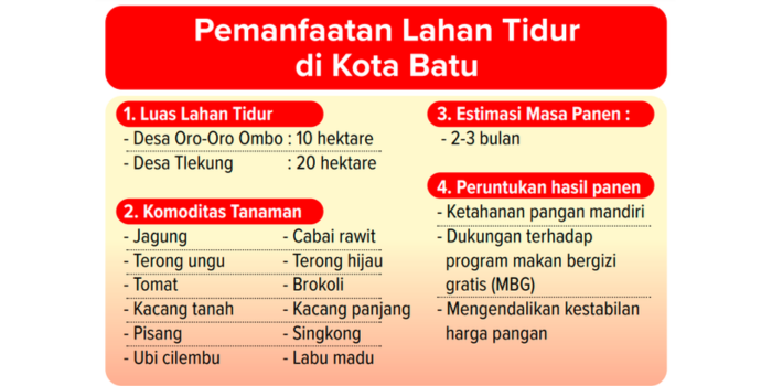 Grafis data pemanfaatan lahan tidur di Kota Batu.