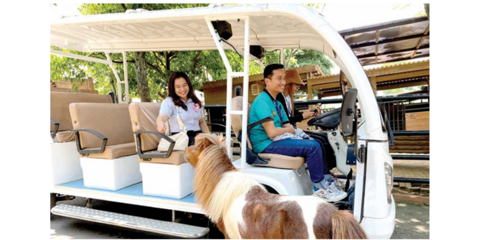 MENARIK: Pengunjung Drive Thru Park sedang berinteraksi langsung dengan kuda poni kemarin (3/3). (RORI DINANDA BESTARI/RADAR BATU)