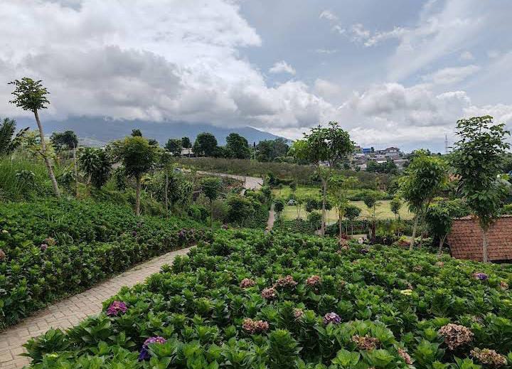 Pemandangan kebun bunga yang cantik di Wisata Dusun Kuliner. (Wong K)