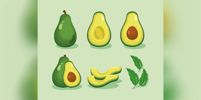 Ilustrasi Buah Alpukat (sumber foto: freepik)