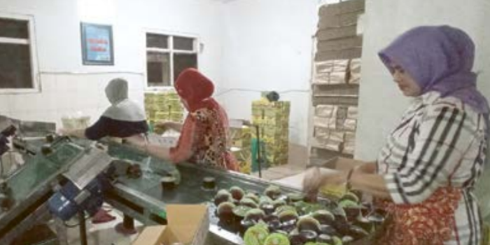 Anggota Koperasi Brosem di Kelurahan Sisir, Kecamatan Batu sedang memproduksi minuman sari apel beberapa waktu lalu (MOH RIZAL/RADAR BATU).