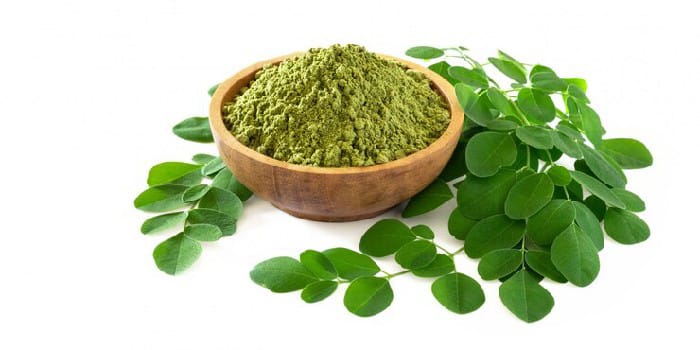 Ilustrasi Daun Kelor (sumber foto: freepik)