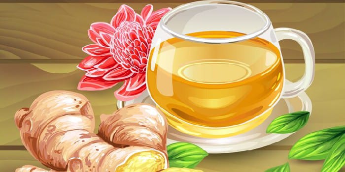 Ilustrasi Temulawak (sumber foto: freepik)