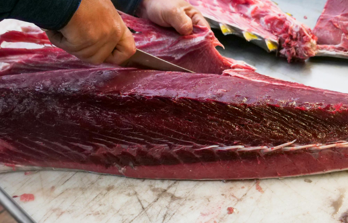 Seorang chef yang sedang memotong ikan untuk bahan masakan (Pexels.com/Kindel Media)