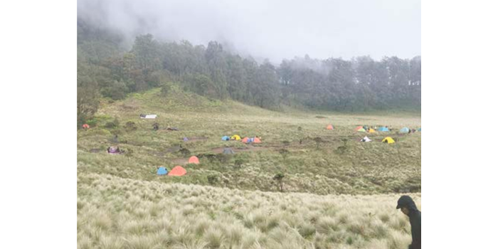 MEMESONA: Beberapa pendaki mendirikan tenda di sabana Gunung Buthak beberapa waktu lalu.