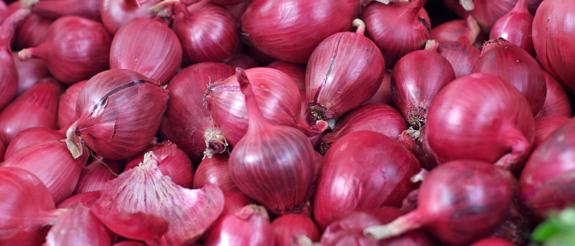 Ilustrasi bawang merah